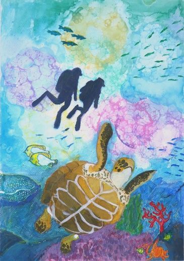 アオウミガメと一緒に泳ごう！