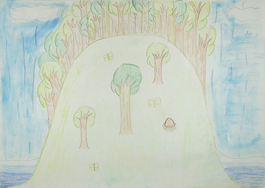 自然の植物と生命の関わり