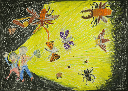 ミヤマクワガタとパパとぼく