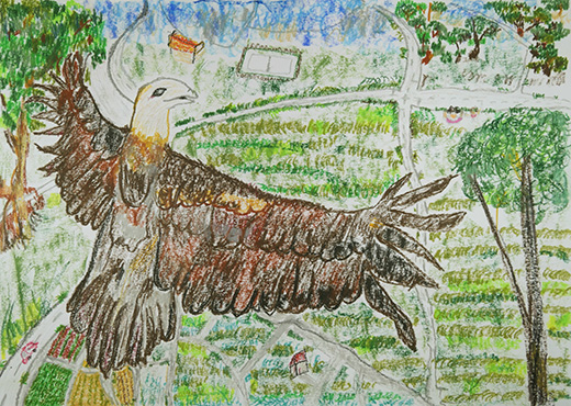 オオタカのいる鳩山町