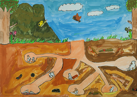 土の中の生き物