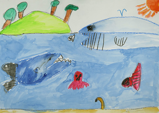 色んな生き物がいる海