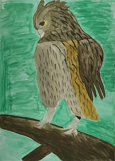 シマフクロウを守ろう