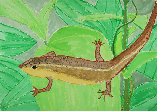 ぼくのカナヘビ