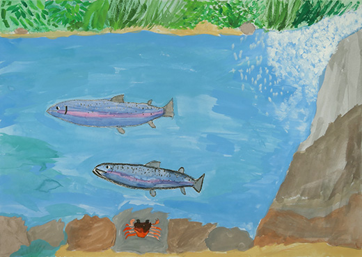 まもりたいマス