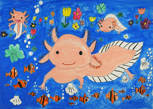 がんばれウーパールーパー