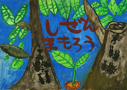 カブトムシ、クワガタがたくさんとれるまち