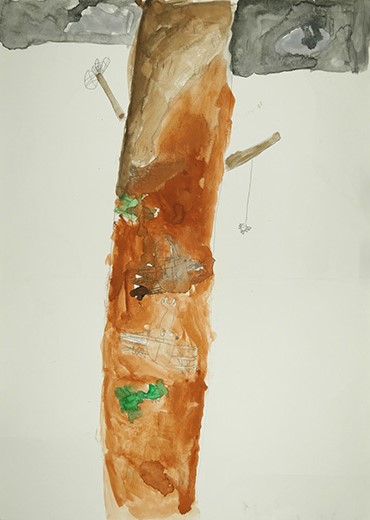 くわがたとかぶとむしのこと