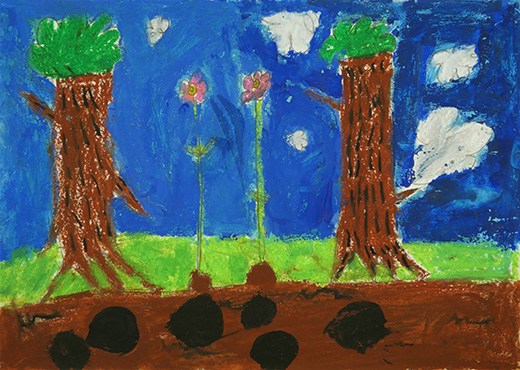 なん年もなくならないでほしいしょくぶつ