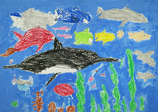 広い海のせかいへ