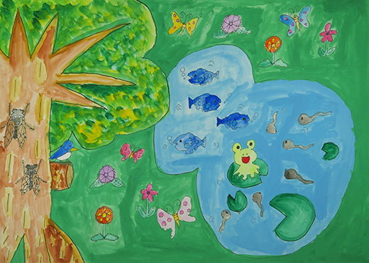 きれいな自然を壊さないで！