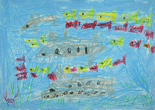 うみをおよぐイルカ