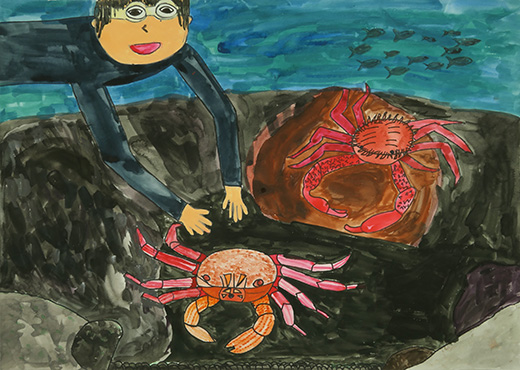 海の中をのぞいてみたら