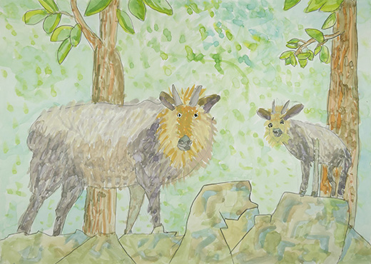 崖に登ったカモシカ