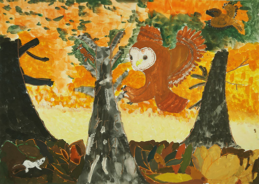 フクロウと静かな森