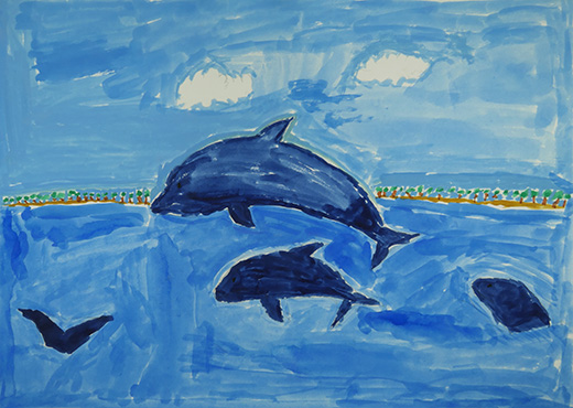 きれいな海でたわむれるイルカ