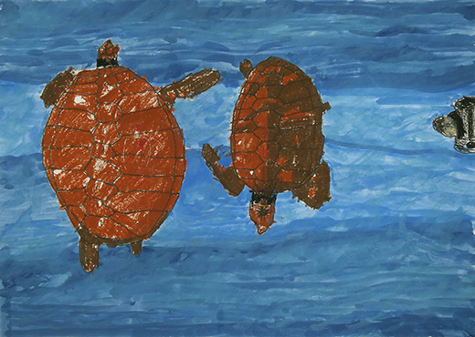 うみがめのおさんぽ