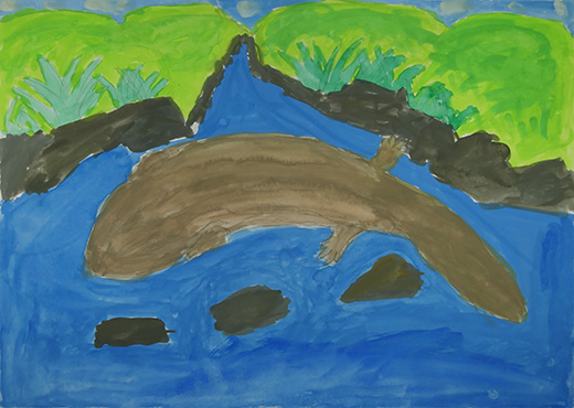 清流に住むオオサンショウウオ