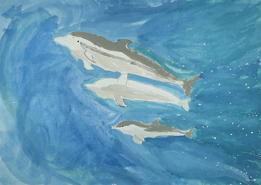 イルカたちの追いかけっこ