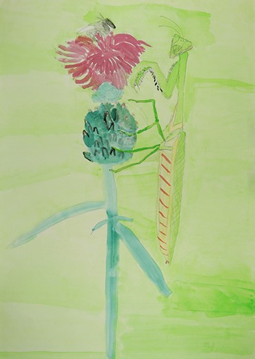 ハチを見つめるカマキリ