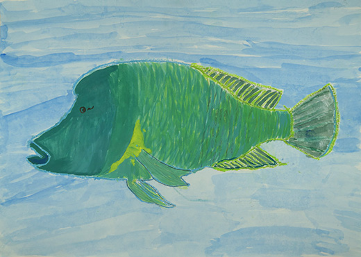 大好きなメガネモチノウオ