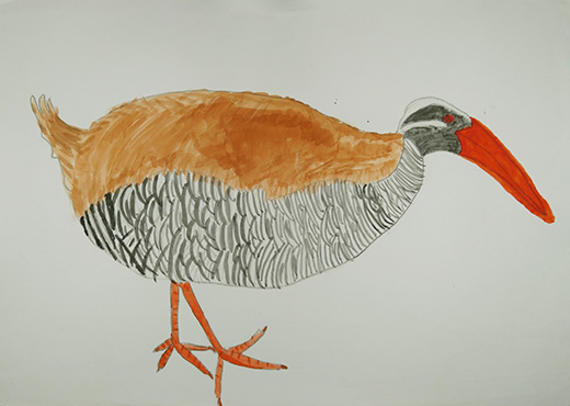 ぜつめつきぐしゅヤンバルクイナ