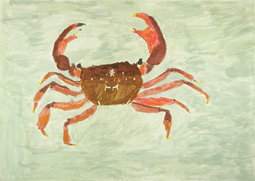 海のヒライソガニ