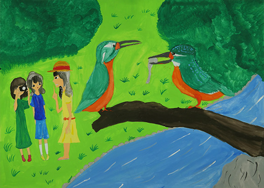 カワセミ見つけた！