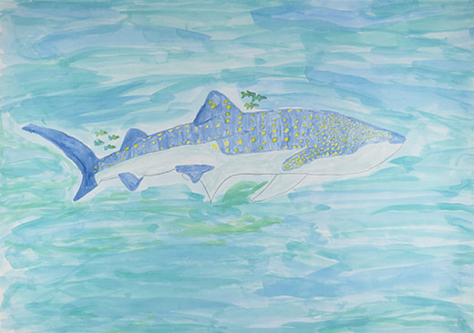 海を泳ぐジンベイザメ