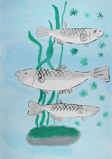 メダカのすみやすい川へ