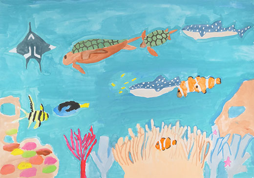 キレイな海の生き物とサンゴ