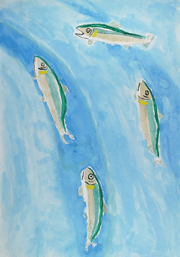 元気に泳ぐアユ