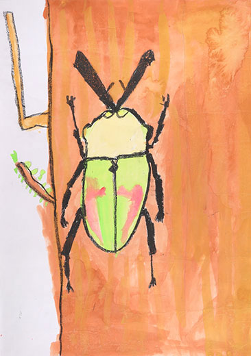 ニジイロクワガタを探したい！