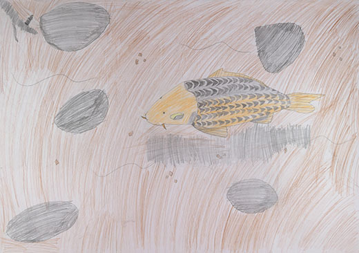 川の元気なこい