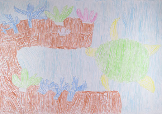 サンゴと海がめ