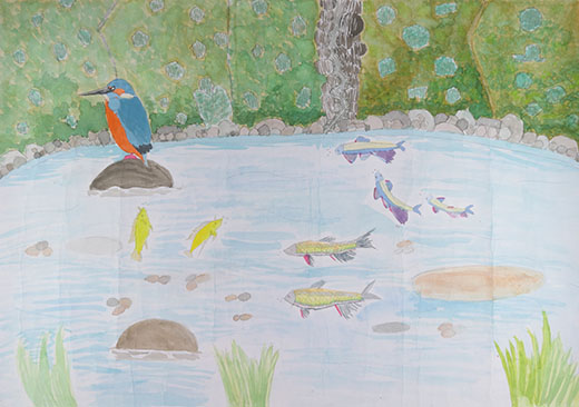 みんな大好ききれいな川