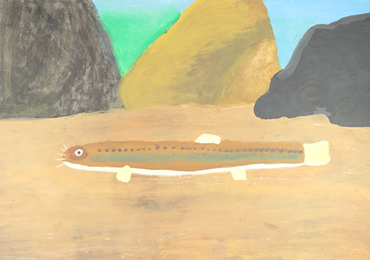 １匹のナガレホトケドジョウ