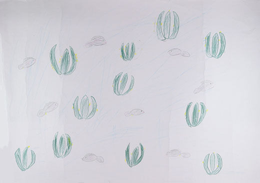 きれいな水でおよぐめだか