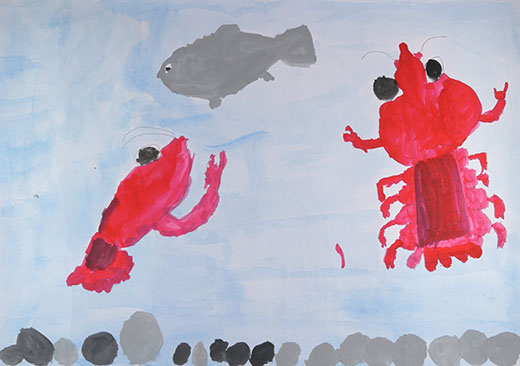 ザリガニとサカナの生活