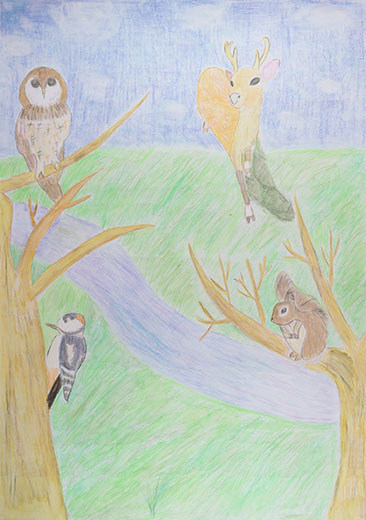 日本の自然豊かな動物たち