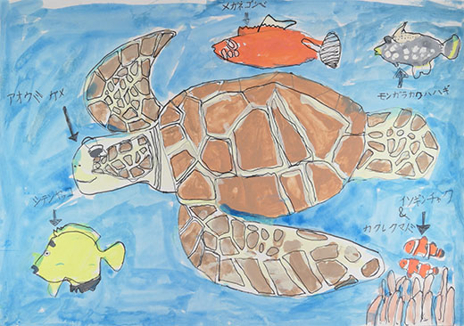 アオウミガメが生きられる海