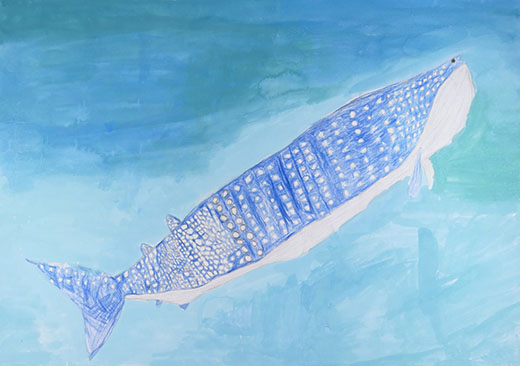 じんべいざめと海