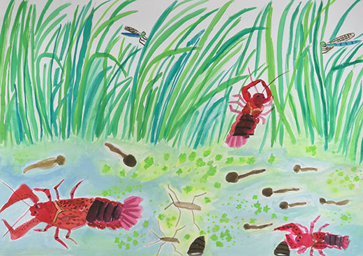 夏の生きものパーティー