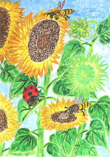 大きなひまわり