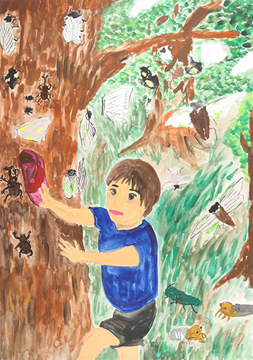 森はぼくの宝物