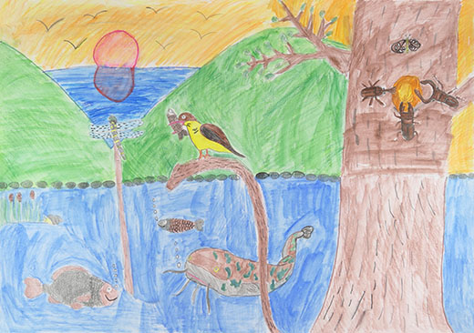 いきものたちの楽園