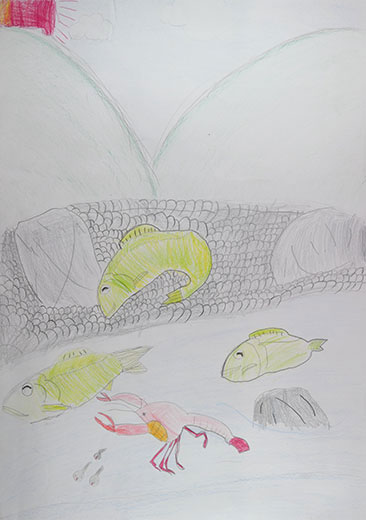 きれいな川としぜん