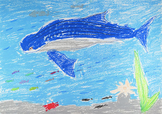 きれいなうみのなかまたち