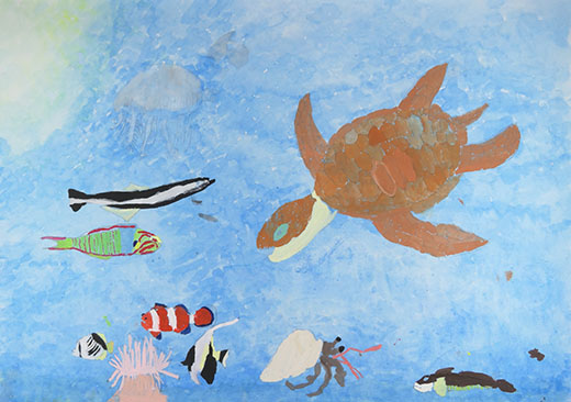 Coral Sea （サンゴ礁）