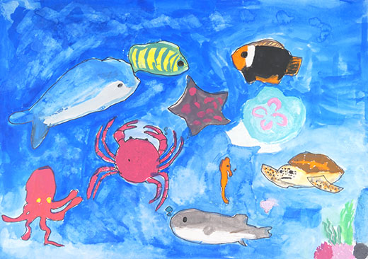 海のいきもの集合！